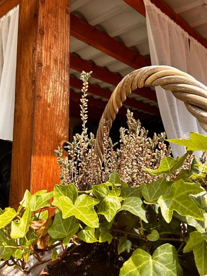 Appartement Bon Bon Del Corso Con Terrazzo E Aria Condizionata à Asti Extérieur photo